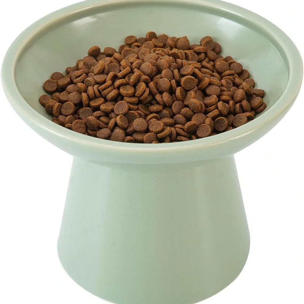 Elevated Green Pet Bowl